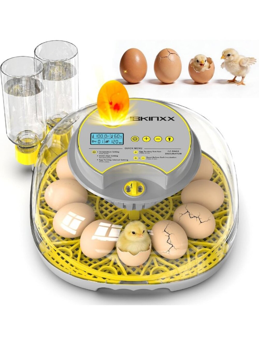 12 Egg Capacity Incubator with 360° Viewing - Perfect for Chicken Hatching!